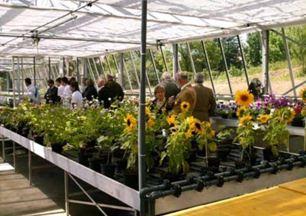 inaugurazione serre corso florovivaista floricoltore agenzia formativa varese