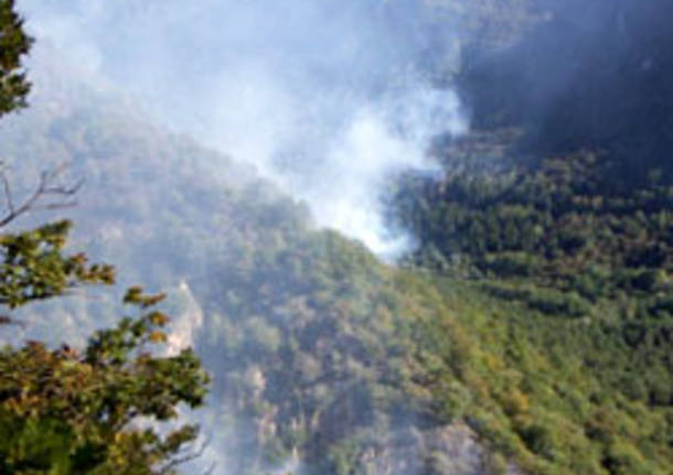 incendio bosco seconda