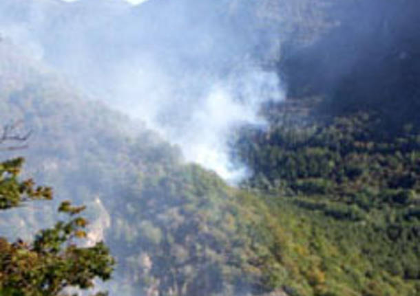 incendio bosco seconda seconda