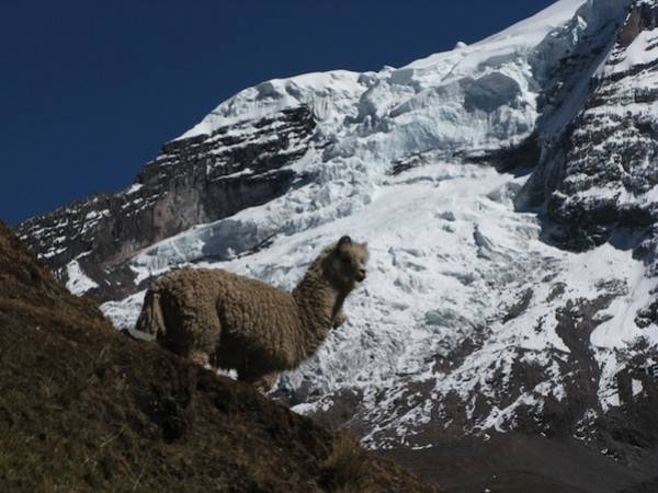 Trekking in Perù