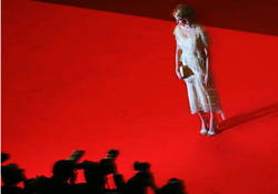 red carpet tappeto rosso apertura