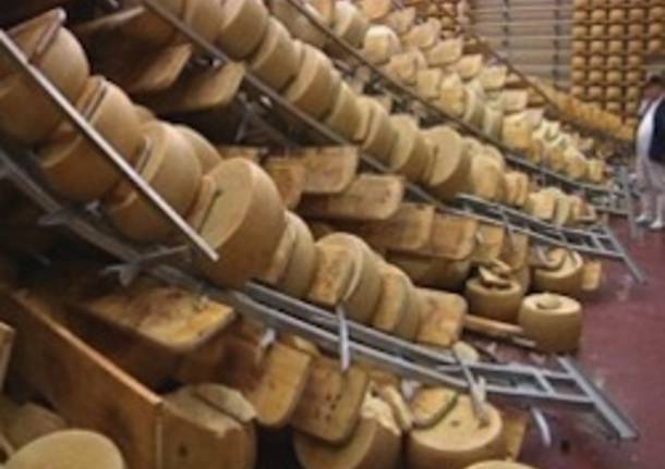 grana padano apertura terremoto