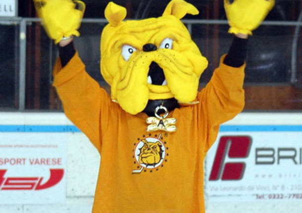 hockey club varese mastini mascotte mastino augusto 2012 2013