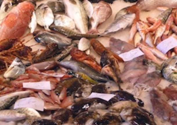 mercato del pesce ghiaccio