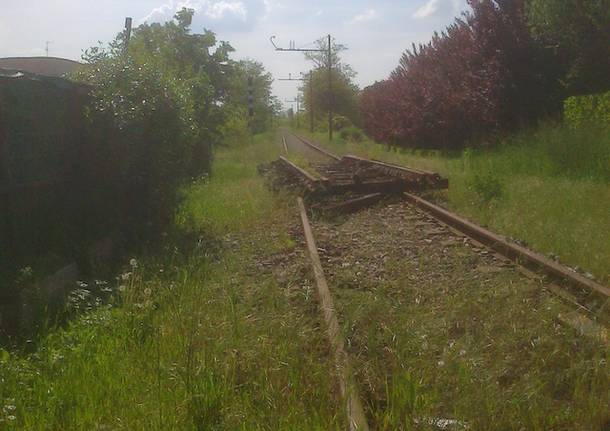 ferrovia saronno seregeno