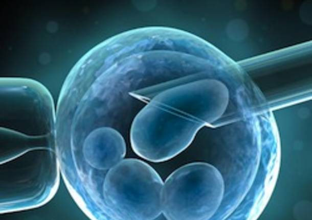fecondazione assistita ostetrica maternita