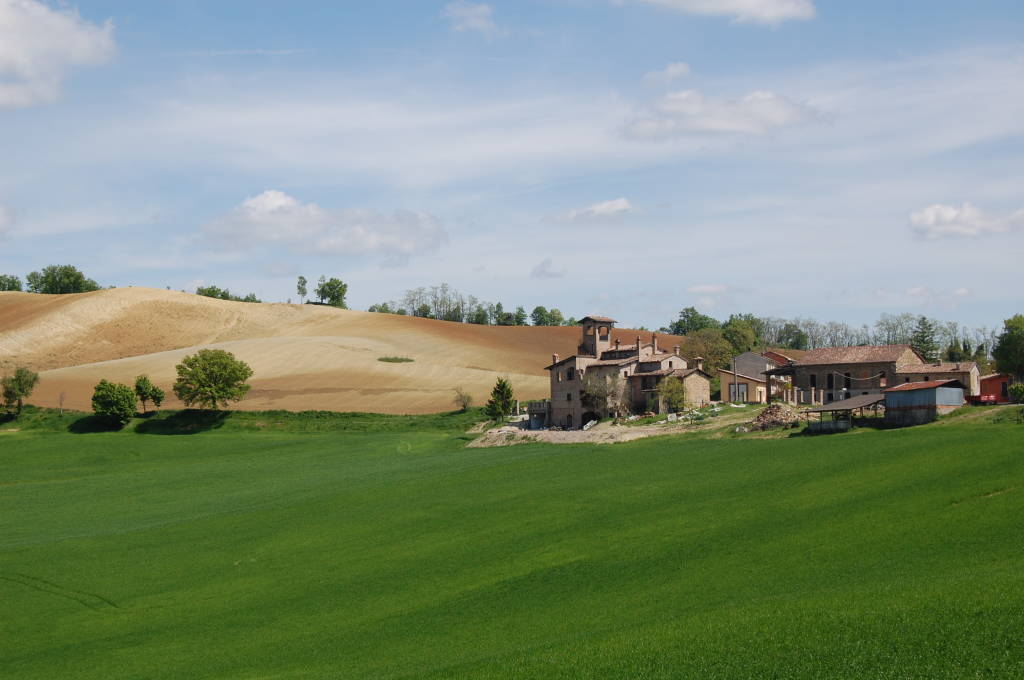 IL SENTIERO DEI CASTAGNI SECOLARI