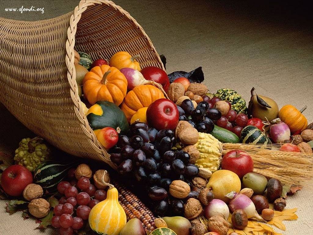Cibo expo