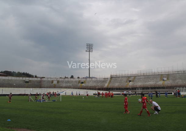 varese 1910, scuola calcio, varese,