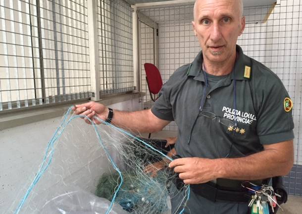 nucleo faunistico polizia provinciale fontanelle