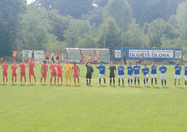 calcio pro patria sestese