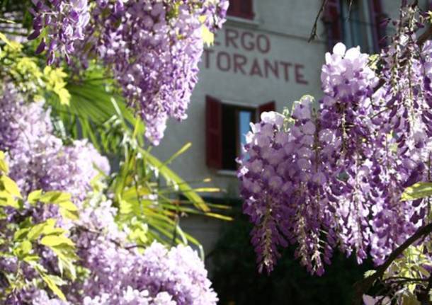 Albergo Ristorante la Madonnina