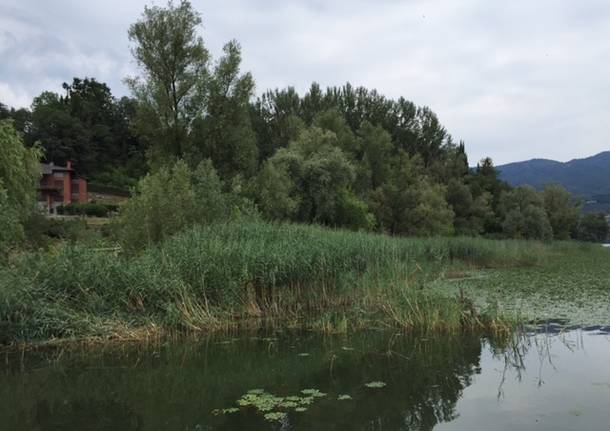 Isolino Virginia 10 agosto 2015