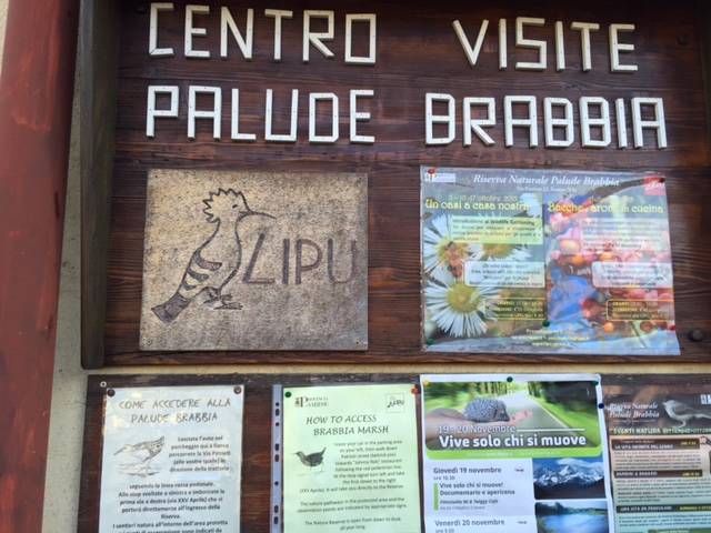 11 novembre 2015 palude brabbia inarzo