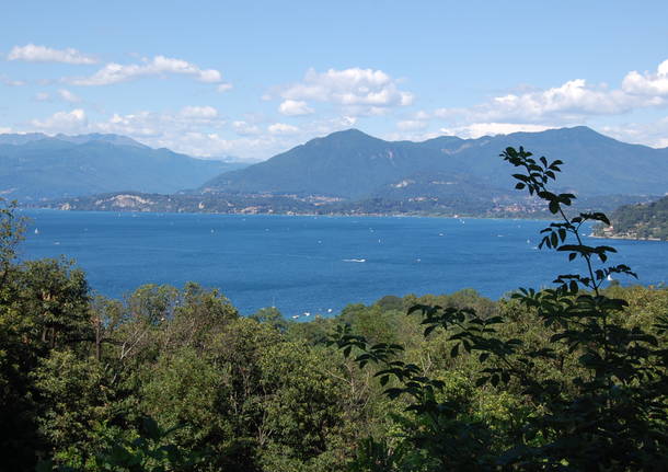 PANORAMI DI GUSTO SUL LAGO MAGGIORE - Una camminata panoramica tra i Ronchi Varesini