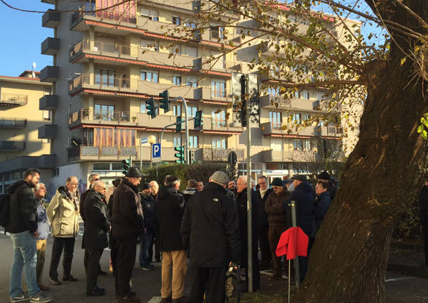 Il gelso di Gallarate per Valerio Lavazza