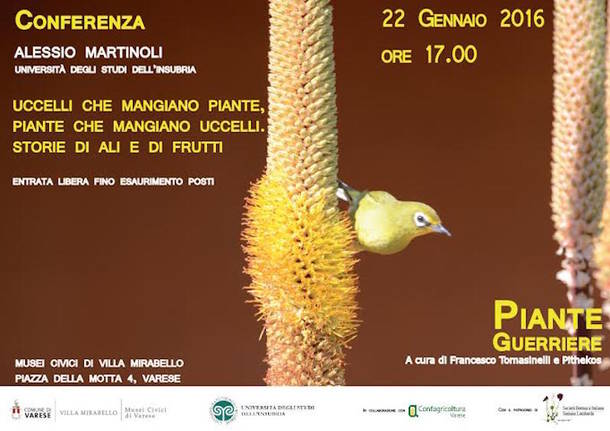 immagini di incontri