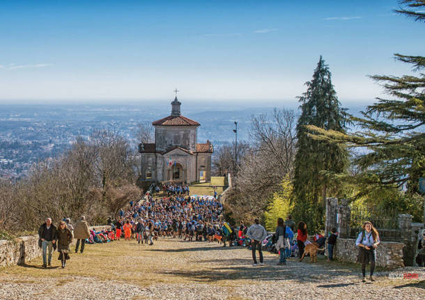 Giornate del Fai di Primavera 2016