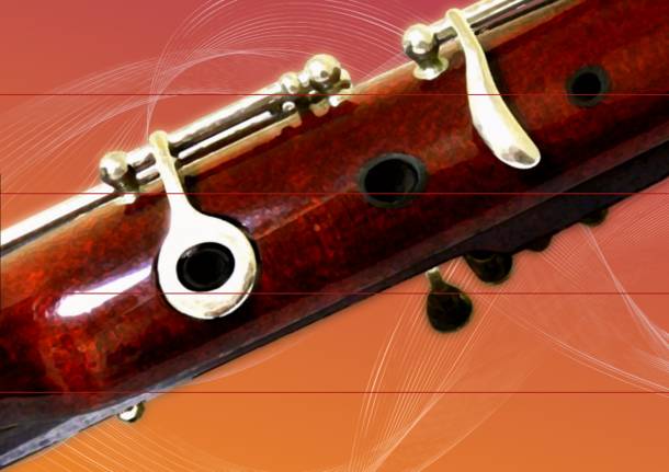 liceo musicale varese