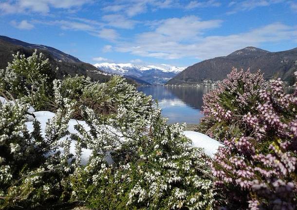 Luce di primavera a Lavena Ponte Tresa