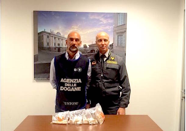 guardia di finanza generica
