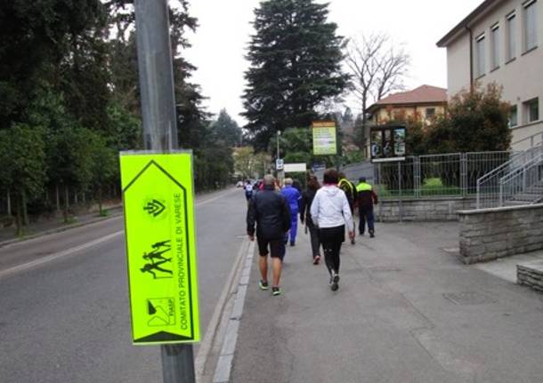 La 34^ Stravarese