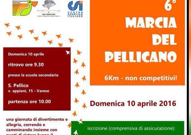 La Marcia del Pellicano 2015