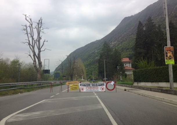 laveno mombello
