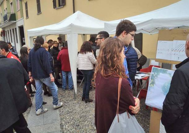 Raccolta firme petizione Tigli Samarate