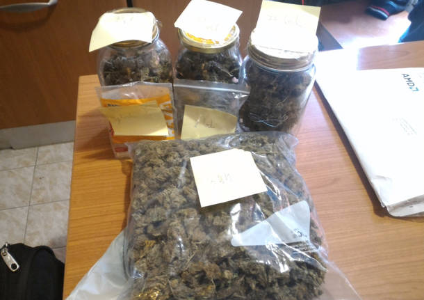 sequestro marijuana