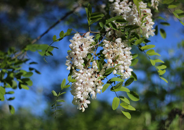 Primavera sulla Ciclabile