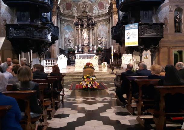 Negozi Varese generiche