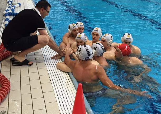 pallanuoto Busto