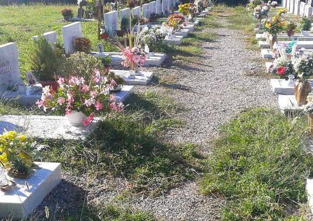 cimitero Cedrate
