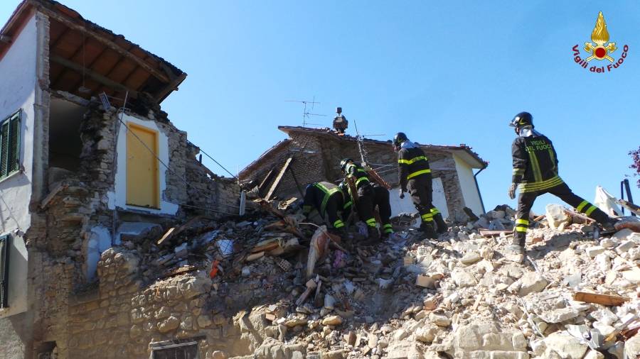 Cane salvato dalle macerie del terremoto