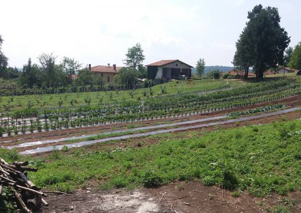 Caravate e Dumenza: laboratorio agricoltura. Cercasi volontari per nuovi laboratori
