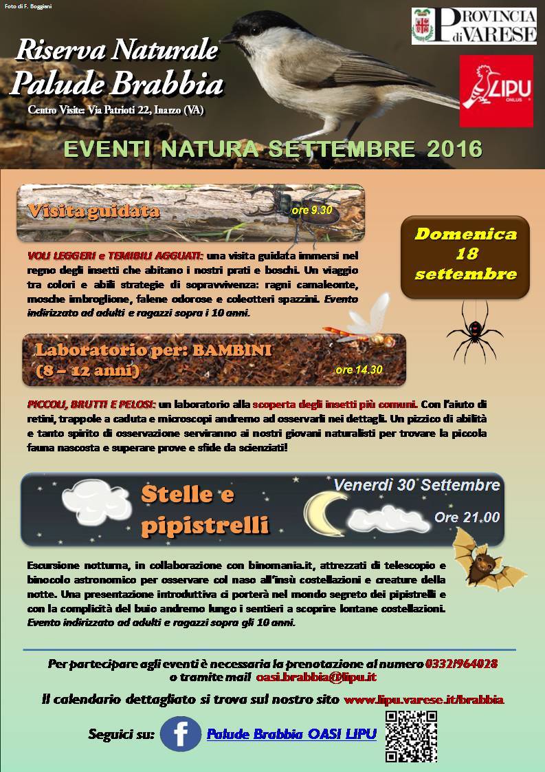ESCURSIONE NOTTURNA - STELLE e PIPISTRELLI