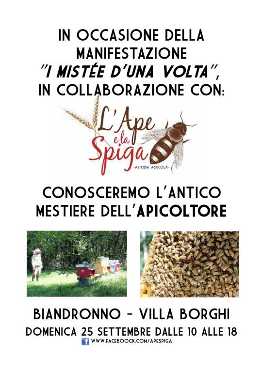 il mestiere dell\'apicoltore