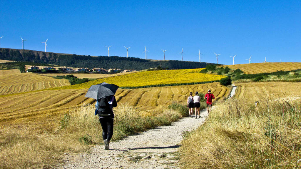 Pellegrinaggio Di Santiago Di Compostela Pellegrinaggio a Santiago di Compostela - VareseNews - Viaggio
