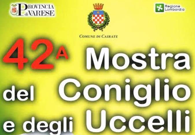 sagra del coniglio e dell'uccello