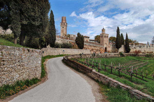 sulla strada del prosecco