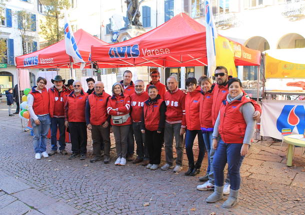 avis caldarroste