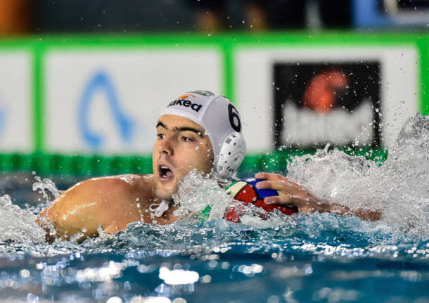 antonio petkovic pallanuoto bpm sport management