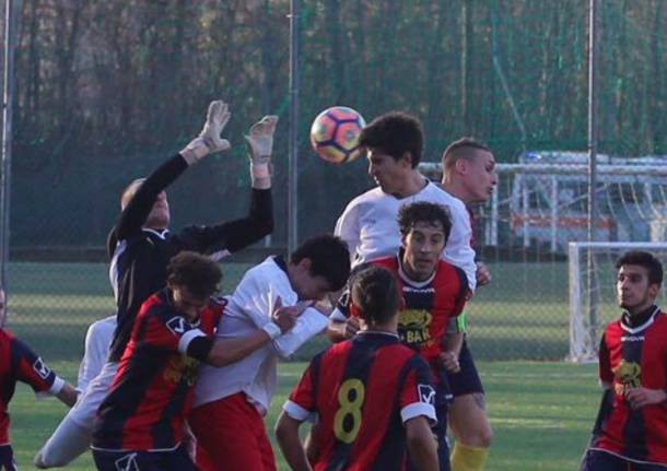belfortese