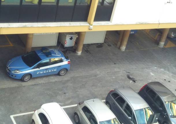 Polizia scuola daverio rissa
