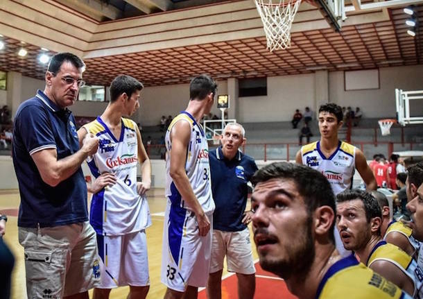 basket coelsanus robur et fides