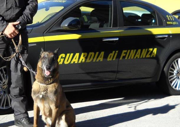 Como Brogeda - Sequestro cocaina nello zaino