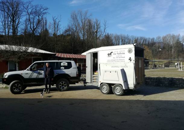 raccolta cibo per Amatrice