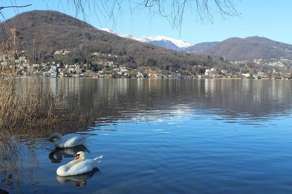 Riflessi su Ceresio - foto di Laura Olivas
