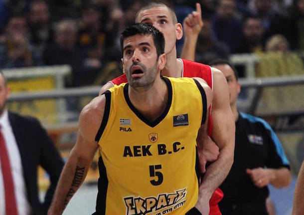 basket basketball champions league